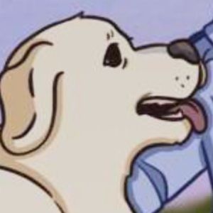 Meet your Posher, Brennan